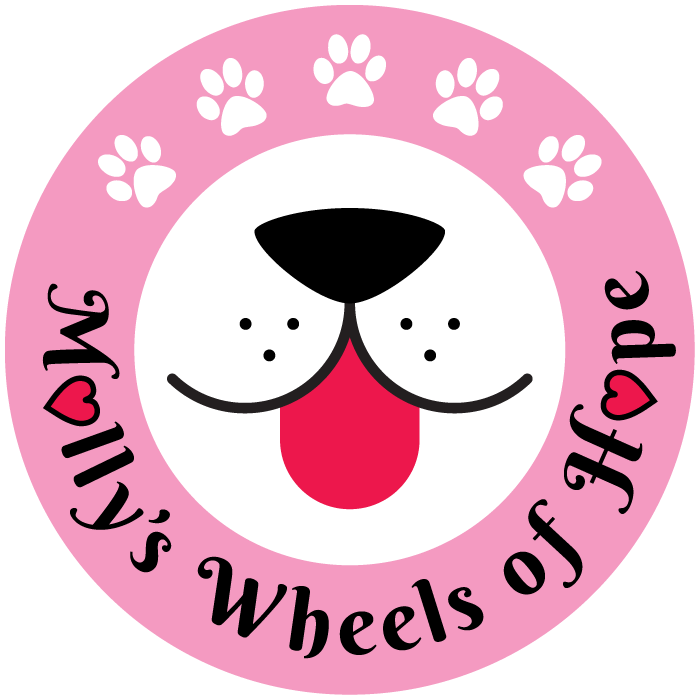 Molly's Wheels of Hope