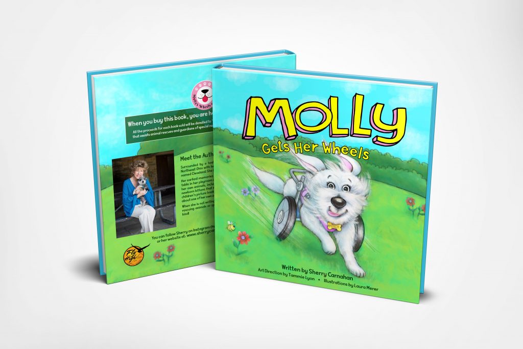 Molly's Wheels of Hope Book